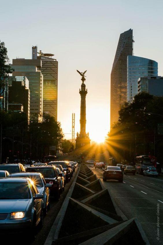 Modern Studio, Rooftop Charm, Cdmx Center2 Мексико Сити Екстериор снимка