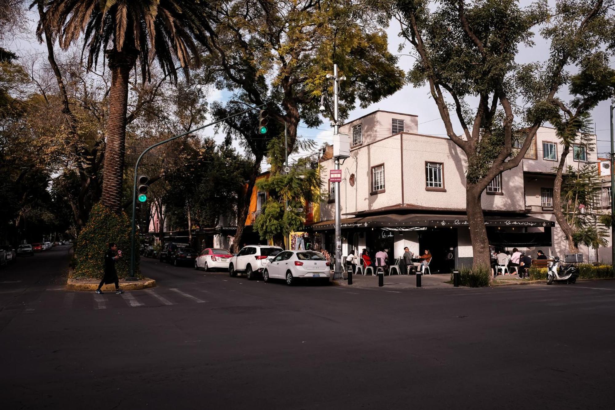 Modern Studio, Rooftop Charm, Cdmx Center2 Мексико Сити Екстериор снимка