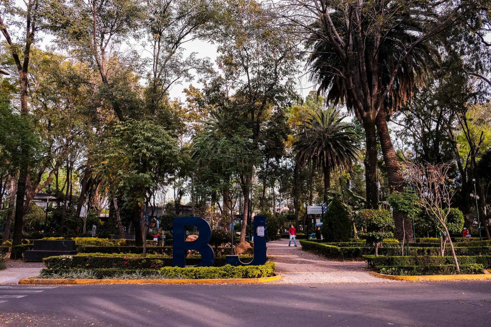 Modern Studio, Rooftop Charm, Cdmx Center2 Мексико Сити Екстериор снимка