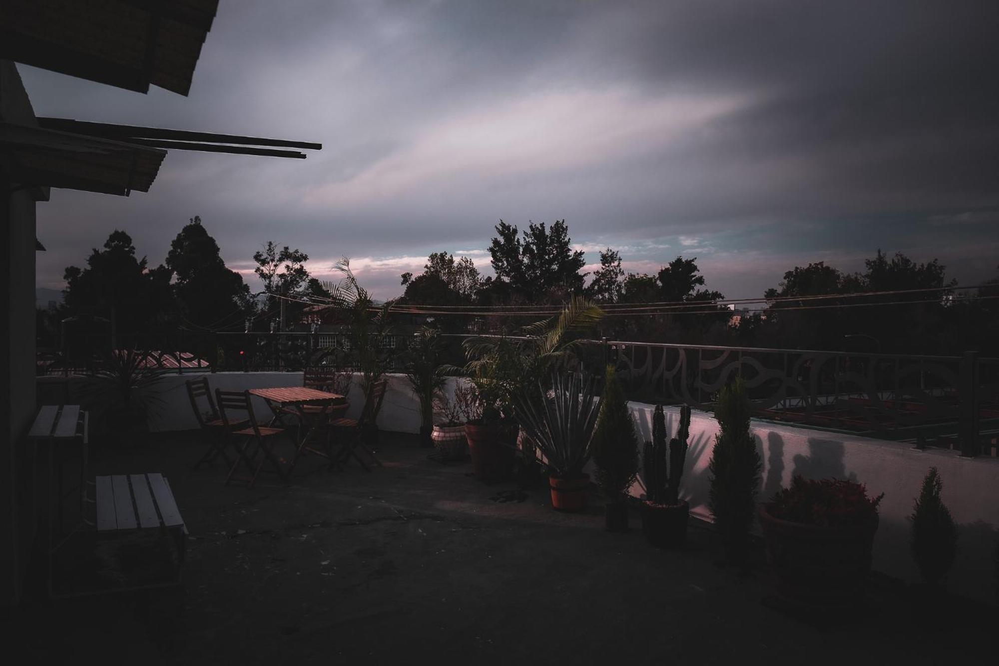 Modern Studio, Rooftop Charm, Cdmx Center2 Мексико Сити Екстериор снимка