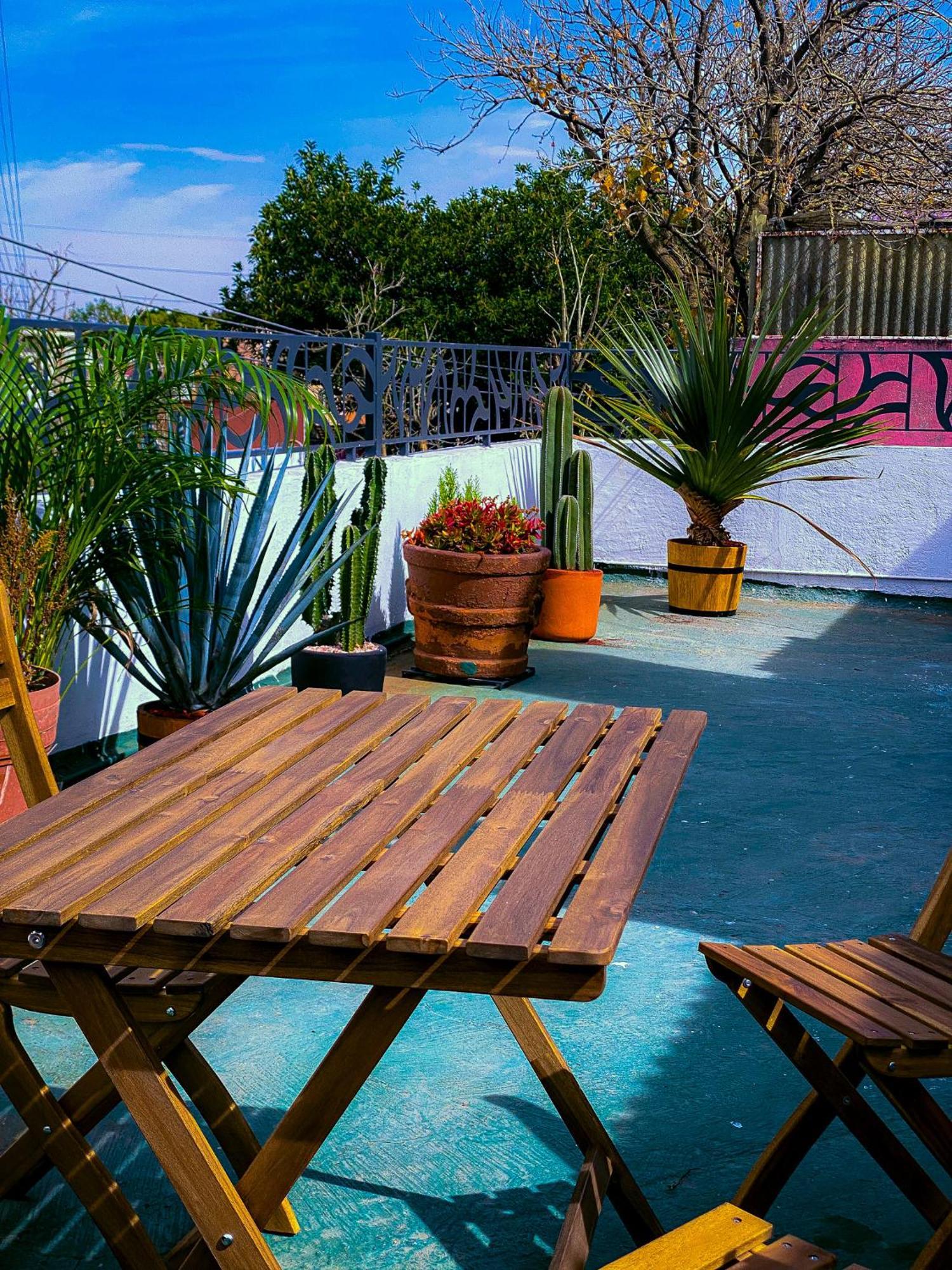 Modern Studio, Rooftop Charm, Cdmx Center2 Мексико Сити Екстериор снимка